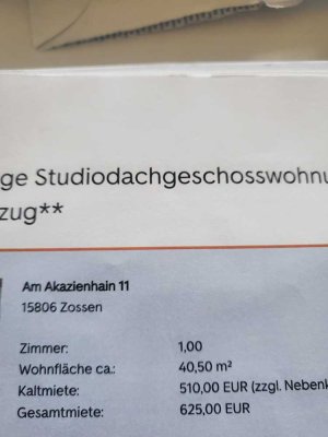 Stilvolle 1-Raum-Dachgeschosswohnung mit gehobener Innenausstattung in Zossen