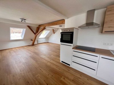 Traumhaftes Wohn-Schlaf Studio mit großer Dachterrasse in Atzenbach, Zell im Wiesental!