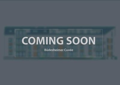 Comming soon: "Büdesheimer Cuvée" 19 attraktive Neubauwohnungen ab 261.000 €