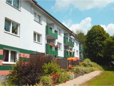 Erdgeschosswohnung mit Terrasse im grünen Schildesche