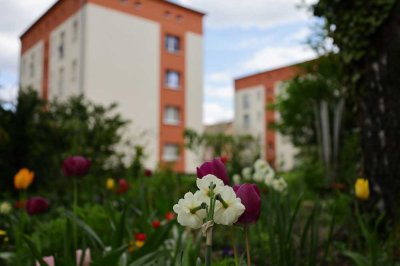 Hochwertige und schöne 4-Raumwohnung in guter Lage mit Terrasse