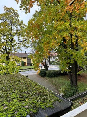 Stilvolle 1-Raum-Wohnung mit Balkon und EBK in Bad Rappenau