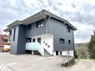 Neuwertige Wohnung mit zwei Zimmern sowie Balkon und EBK in Rickenbach