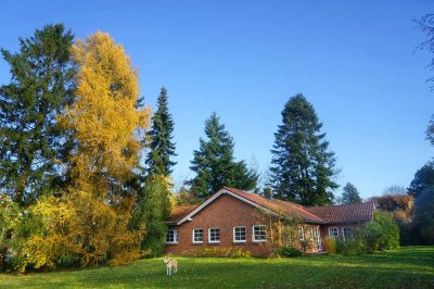 Ganz besonders und individuell! Großzügiger Bungalow mit Weitblick.