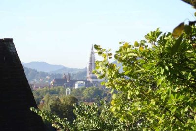 Erstbezug von traumhafter Altbau-Wohnung in Top-Lage nach Sanierung