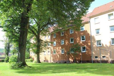 Wohnen im Grünen - frisch sanierte 2-Zimmer Wohnung zu vermieten