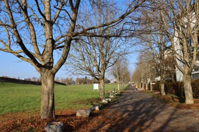 **WESTRANDWOHNEN** - 3-Zi.-ETW für den GARTENLIEBHABER | 2 TG-Stellplätze | STADTBAHNLINIEN U7 & U8