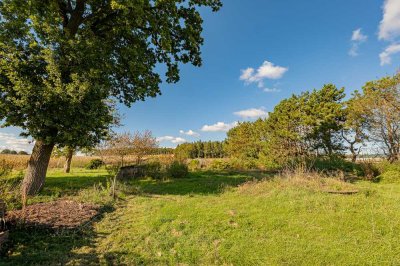 Landidylle mit Einliegerwohnung – Resthof mit viel Raum für Mensch und Tier!