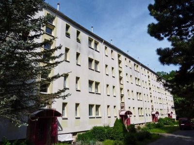 Gemütliche 2-Raum-Wohnung in ruhiger Lage