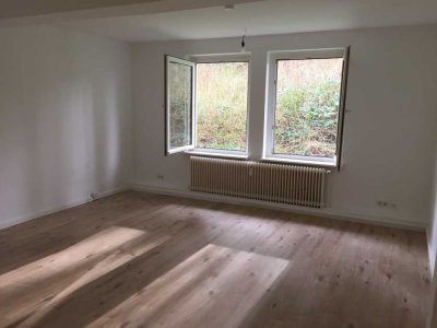 Ruhiges ein Zimmer Appartement im Grünen