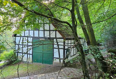 Mitten im Wald bei Ostercappeln: Kleines Haus mit großem Potential! OPEN HOUSE am 23.11. um 11h!