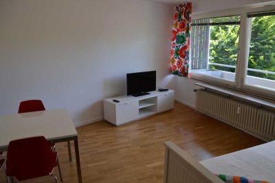 Teil möblierte, neu renovierte und helle Wohnung  zu vermieten