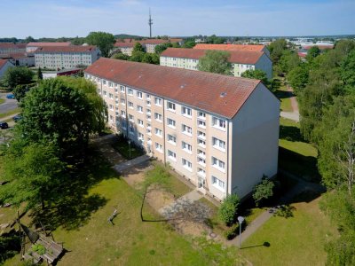 Renovierte 2 1/2  Raumwohnung (17.31)