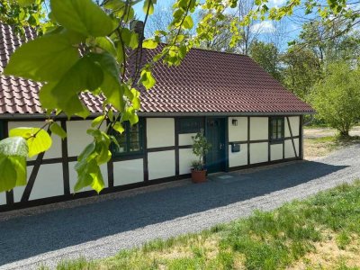 Charmante 4-Zimmer-Wohnung im Grünen