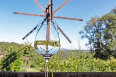 Wohnen in den südsteirischen Weinbergen - Top1