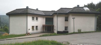 Kleine ruhige Wohnung im schön gelegenen Todtmoos/Schwarzwald