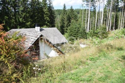 Renovierungsbedürftiges Sacherl auf Waldlichtung - ALLEINLAGE!