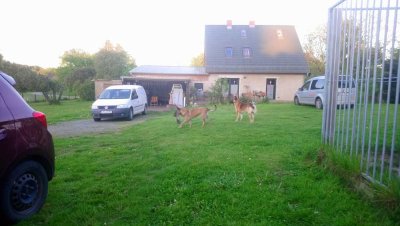 EFH in Lehm- Ziegelbauweise mit großzügigem Grundstück in grüner Umgebung