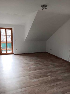 Helle 1-Raum-Wohnung mit großzügigem Balkon in Meißen