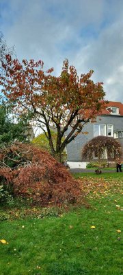 Das schönste Schieferhaus im Bergischen Land