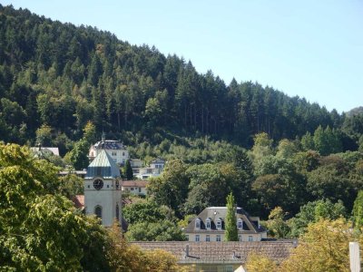 Sonnige, ruhige Terassenwohnung mit Südblick