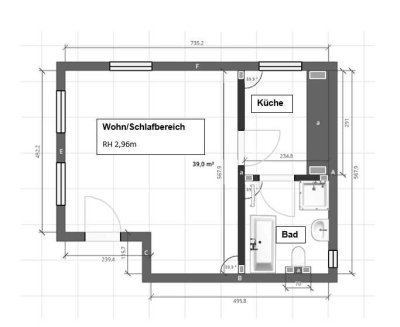 Helle, freundliche 1-Zimmerwohnung (nur für Single)