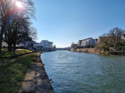 Kamin und Dachgarten -Hochwertige Terrassenwohnung direkt an der Donau