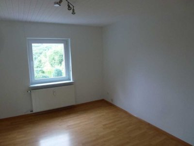 Vollständig renovierte Erdgeschosswohnung mit zwei Zimmern und EBK in Remscheid