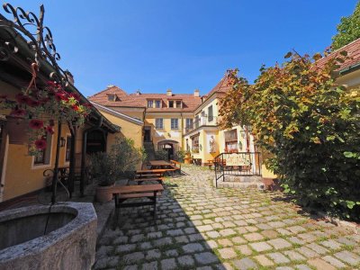 Historisches Winzerhaus in Perchtoldsdorf mit großem Platzangebot