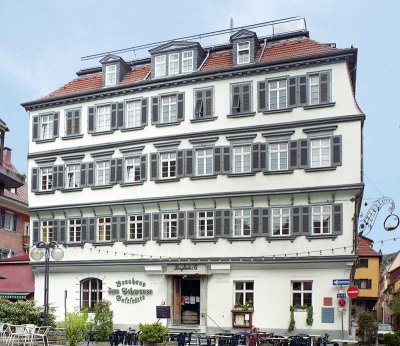 Exklusive 3-Zimmer-DG-Wohnung mit gehobener Innenausstattung mit Einbauküche in Esslingen