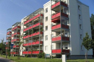 Frisch-sanierte 2-Zimmer Wohnung mit XXL-Balkon