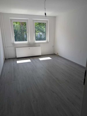 Sanierte 2-Raum-Wohnung in Neue Neustadt