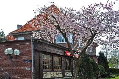 gepflegte 3 Zi.-Wohnung in Norderstedt