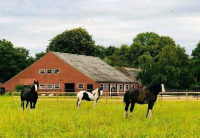 Pferdehof mit 2 ha Weidefläche am Objekt