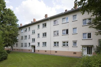 3-Zimmer zum wohlfühlen!