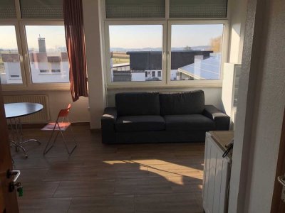 Möbliertes 1 Zimmer Appartement- neu renoviert 35qm/ Nr. 1