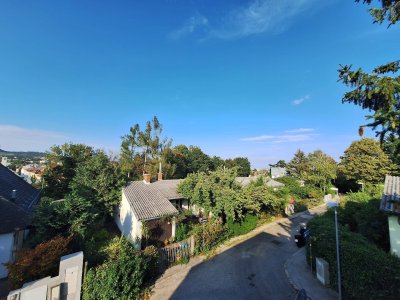 Villa mit Pool und wunderschönem Fernblick, nähe Türkenschanzpark und Salettl