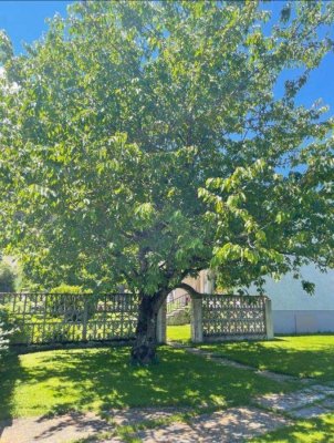 Großes Wohnhaus mit südseitiger Terrasse, Garage und großem Garten, voll unterkellert! ZWEITWOHNSITZFÄHIG!