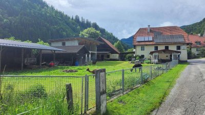 Hofgebäude mit Stallungen und Scheune im Metnitztal