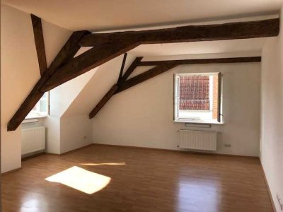 Schickes Großes,helles Appartement mit Altbaucharme  in Citylage