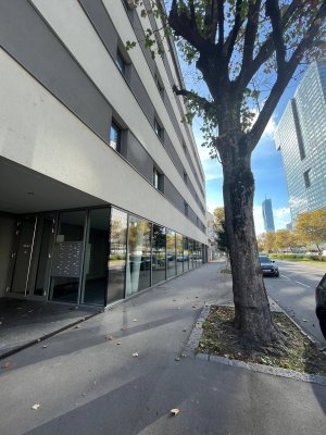 Terrassenwohnung in der Nähe der Alten Donau