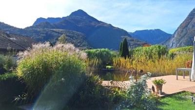 Perle des Tennengaus - Traumdomizil mit Schwimmteich und Panoramablick