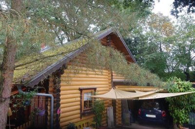 Komfortables Holzhaus im Grünen auf großem Waldgrundstück