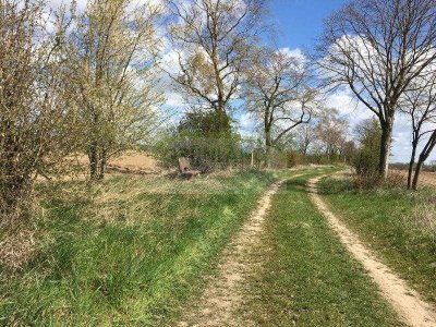 *Feldrandlage mit Weitblick - Lebensqualität zum Wohlfühlen!*