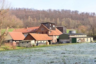 Hofstelle mit allen denkbaren Ausrichtungen (6ha Land opt./Pferde/Café/Mehrgenerationenprojekt u.v.m