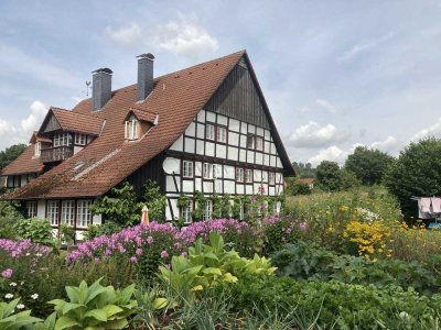 Schöne 4 Zimmer Maisonettewohnung in Ortsteil von Blomberg