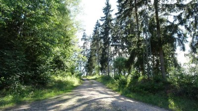 Freistehendes Ferienhaus auf eigenem Waldgrundstück