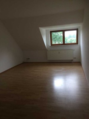 Geräumige Einzimmerwohnung in Buchholz (Aller)