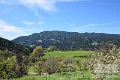 Wunderschönes Feriendomizil | nahe Zirbitzkogel |absolute Ruhelage