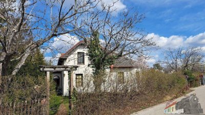 Oberwaltersdorf Haus in zentraler Lage